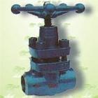 兆工阀门 柱塞阀