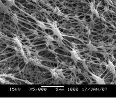 PTFE/PVDF/PP亲水微孔膜