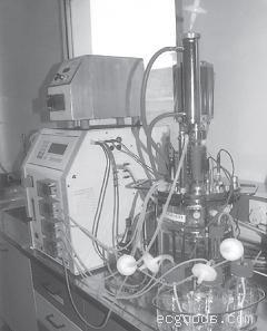 工业用气体过滤器