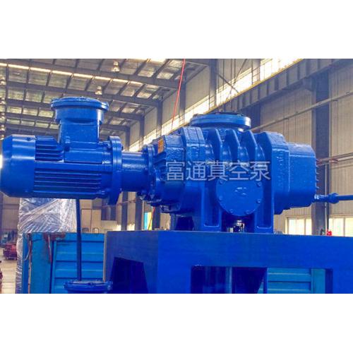 2015罗茨真空泵/罗茨真空系列