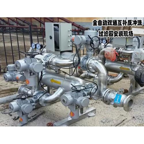 自动双通互补反冲洗过滤器