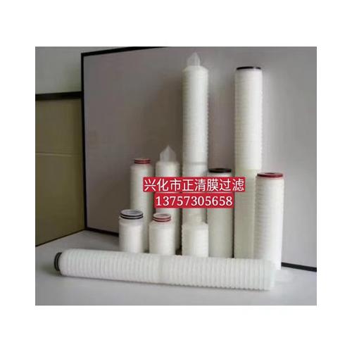 聚四氟乙烯折叠滤芯（PTFE）